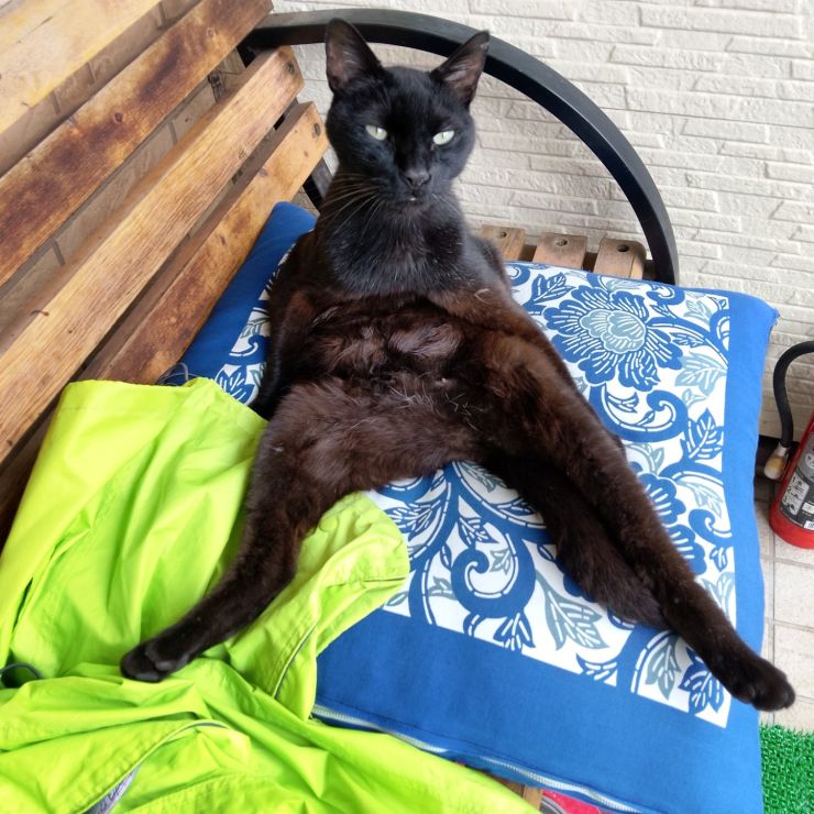 お外でノビノビ