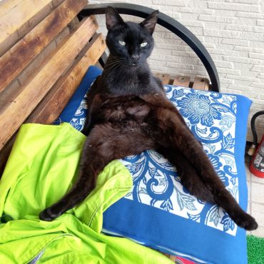 お外でノビノビ