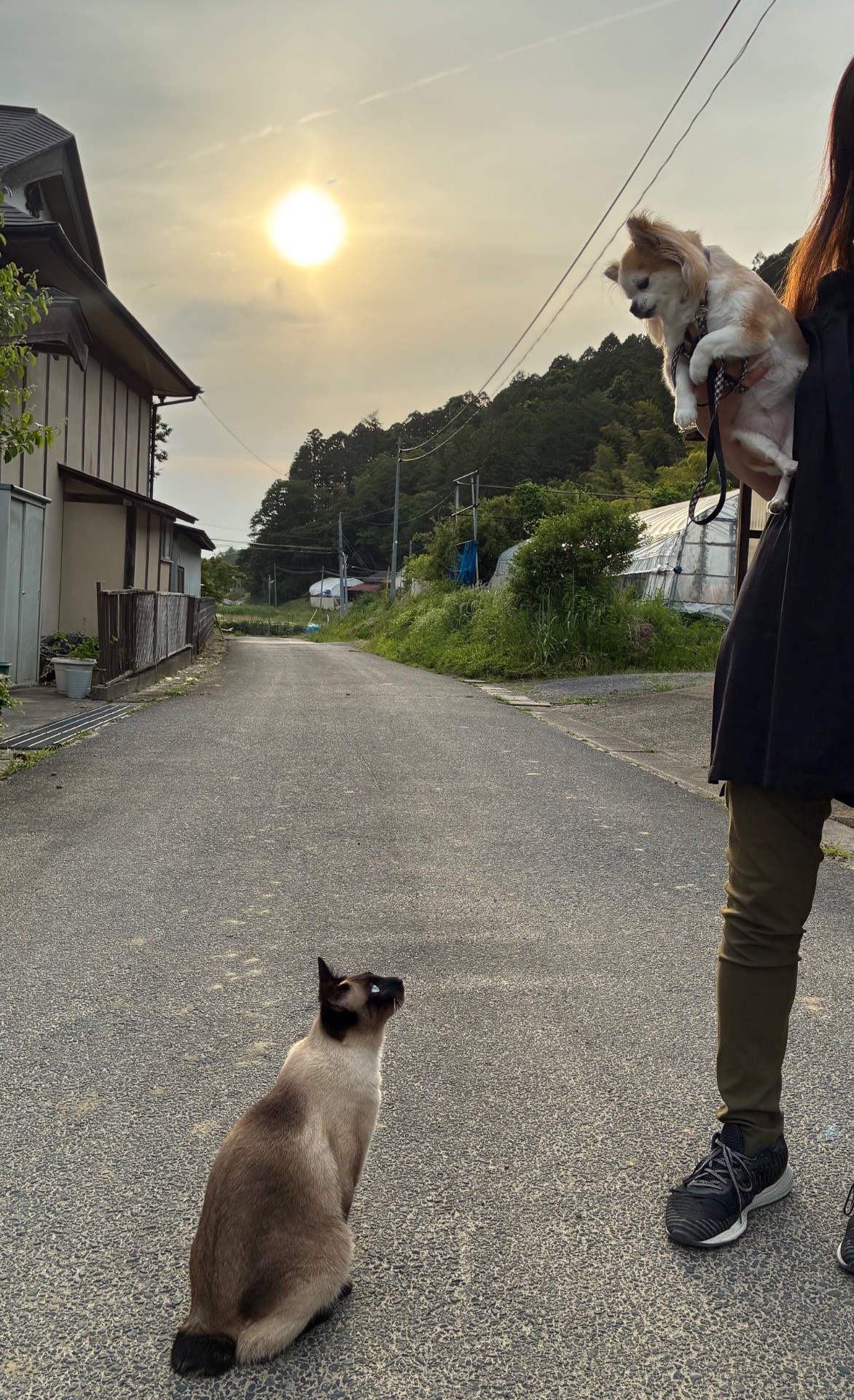あなたはだあれ？