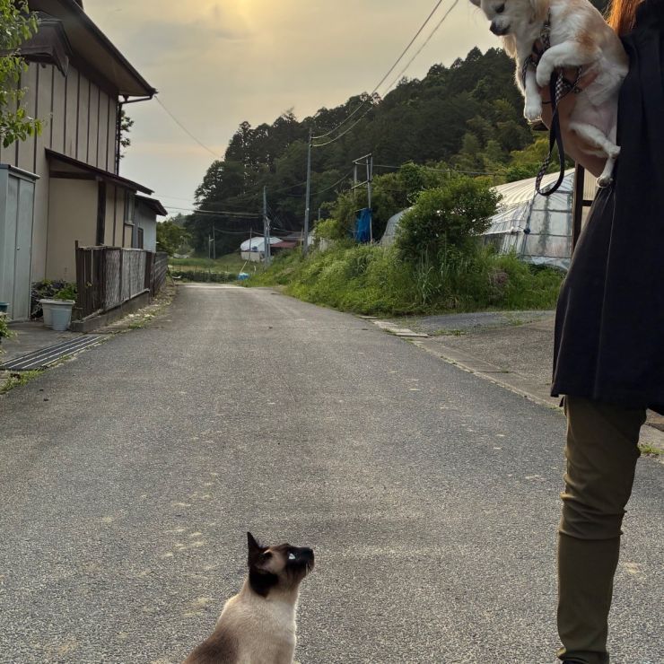 あなたはだあれ？