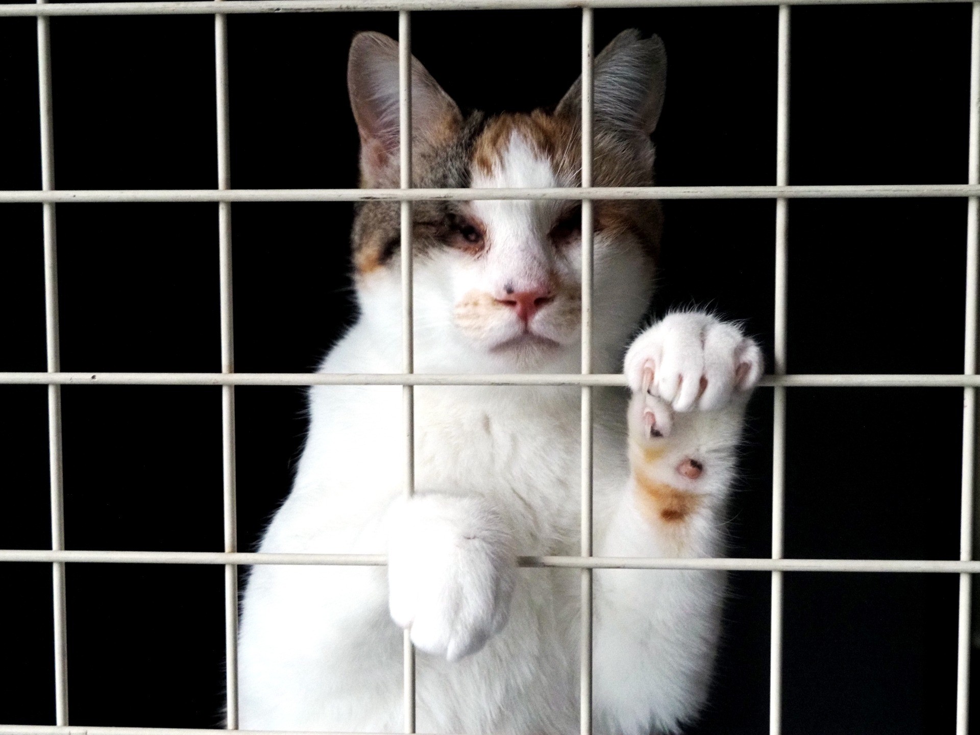 私の居場所