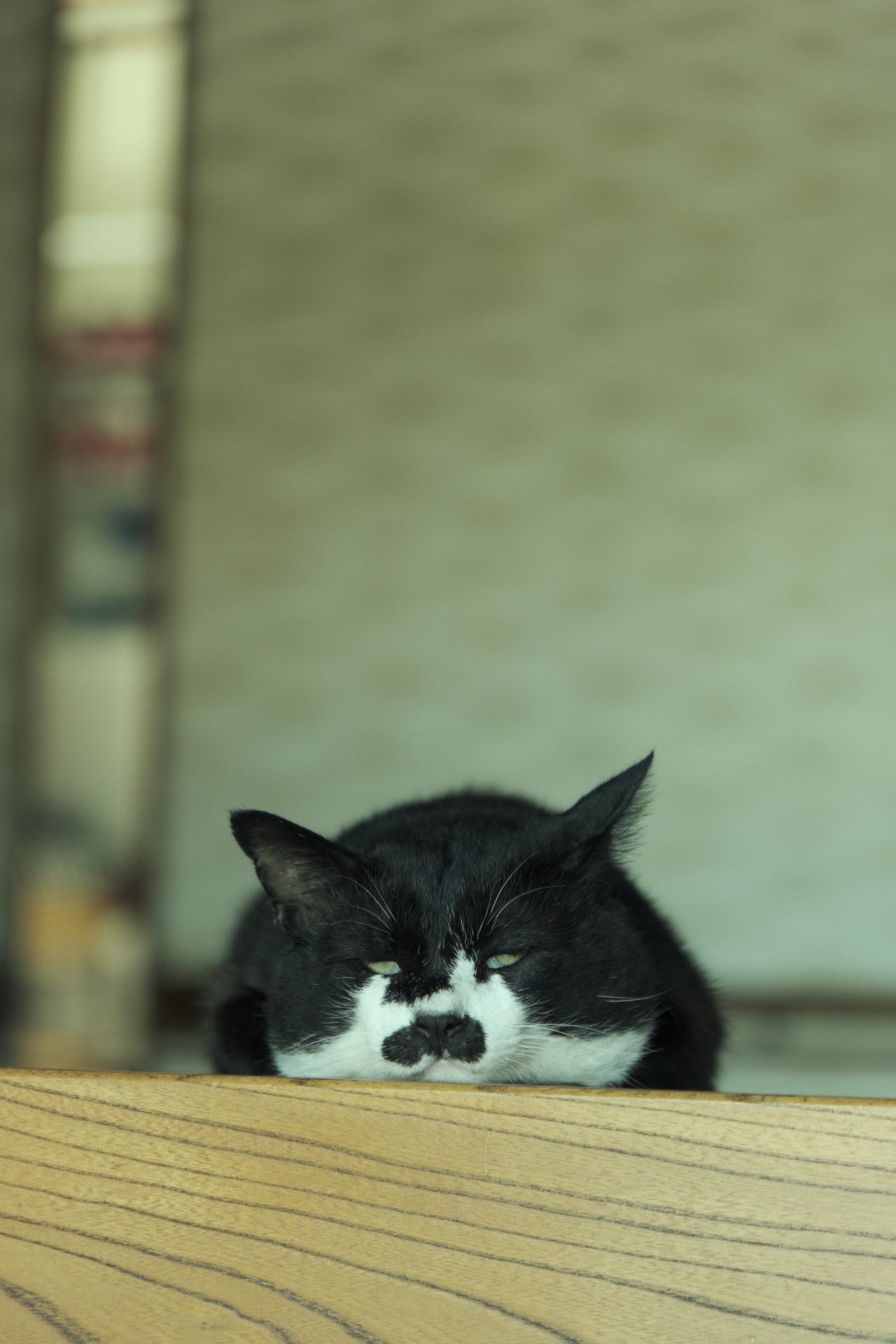 家の中って極楽なんだな。