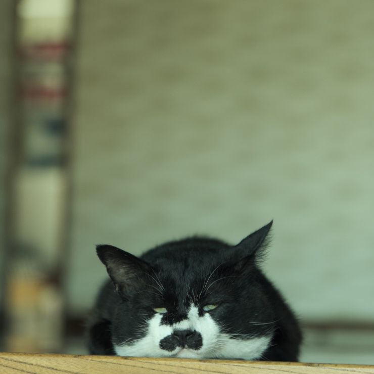 家の中って極楽なんだな。