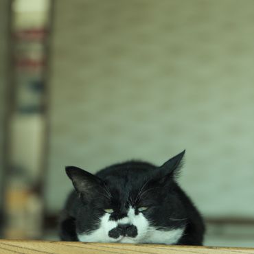 家の中って極楽なんだな。