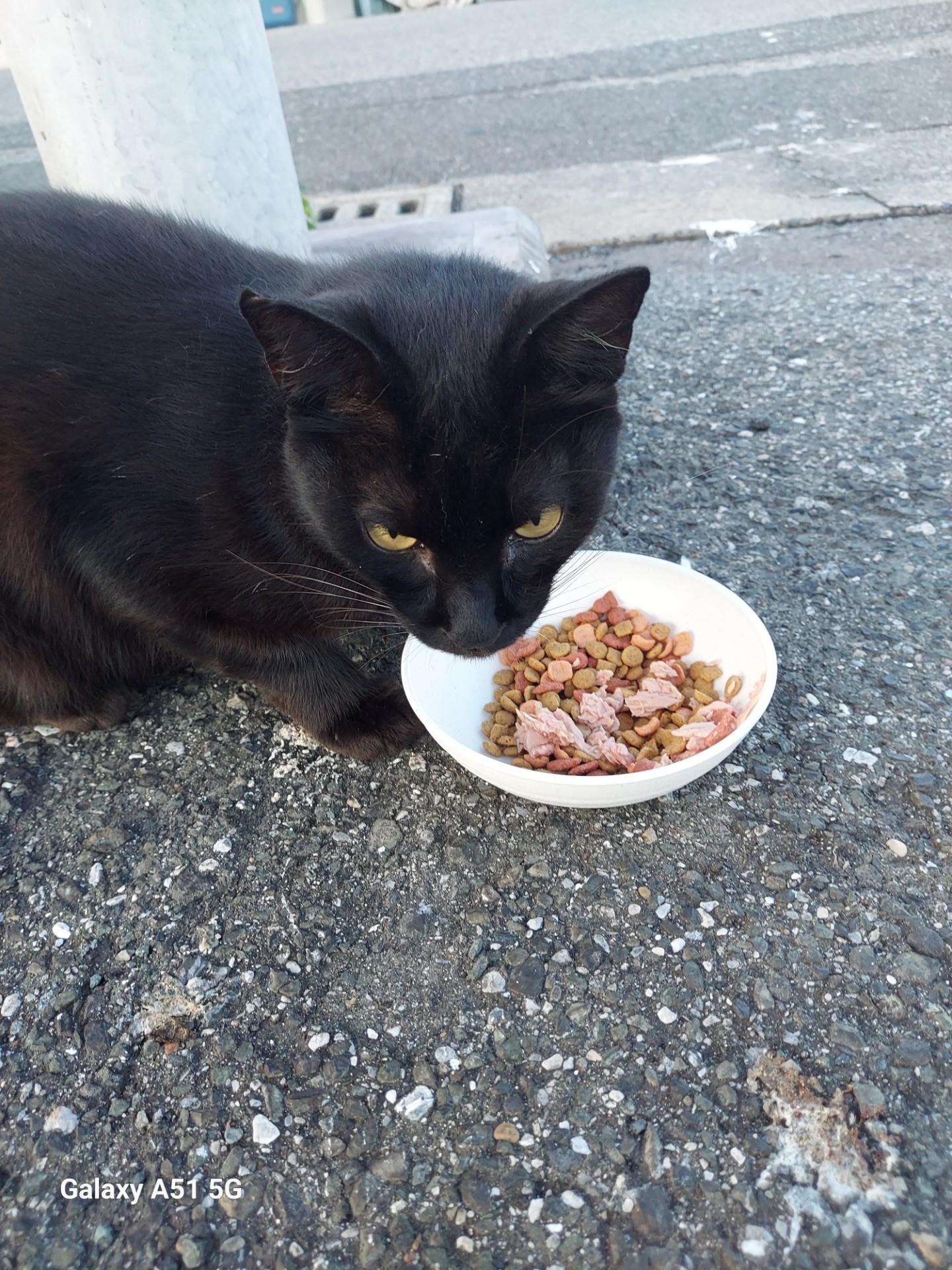 決まった時間の朝ごはん
