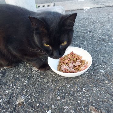 決まった時間の朝ごはん