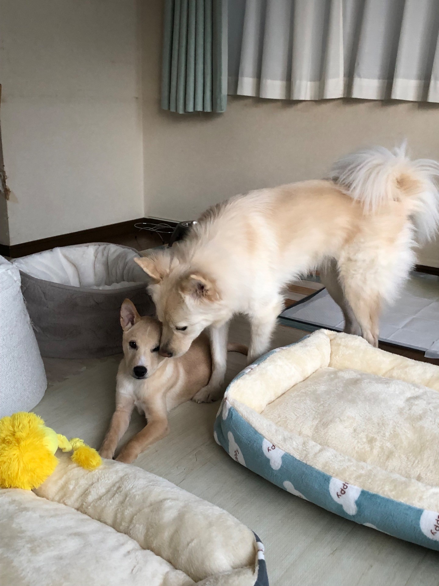 弟ができました❣️