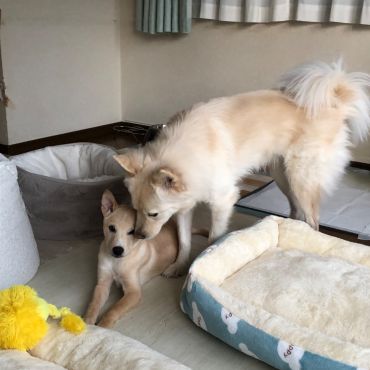 弟ができました❣️
