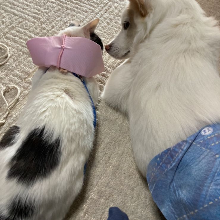 仲良し♡
