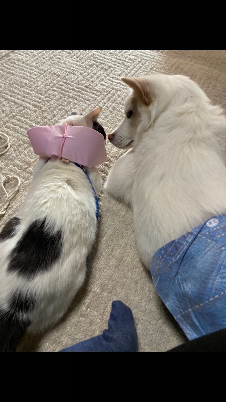 仲良し♡