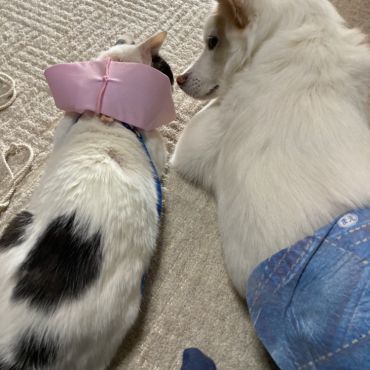 仲良し♡