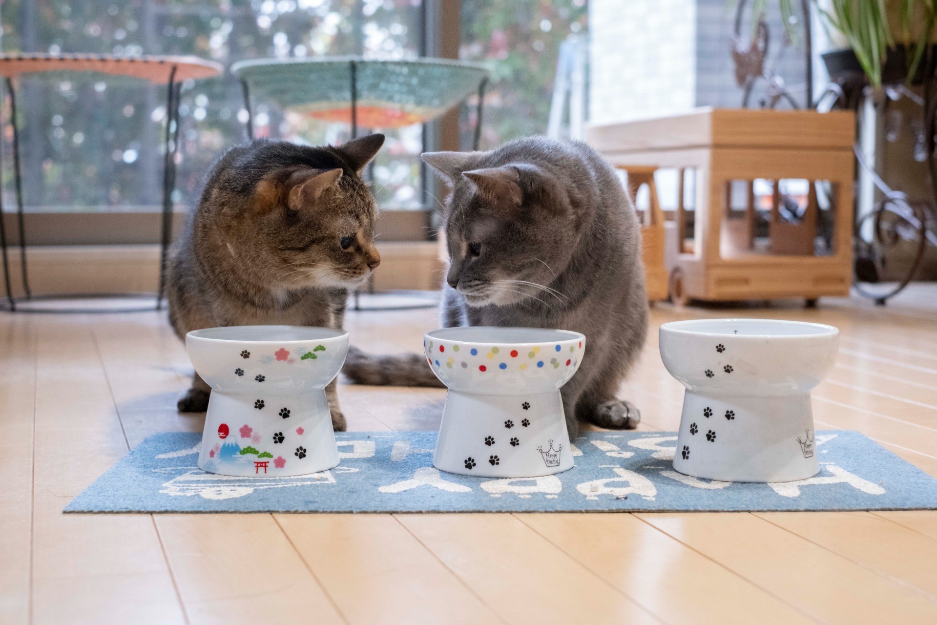 ごはんのじかん