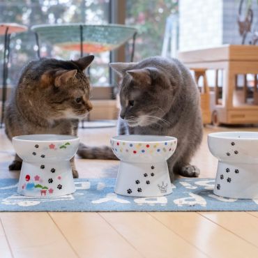 ごはんのじかん