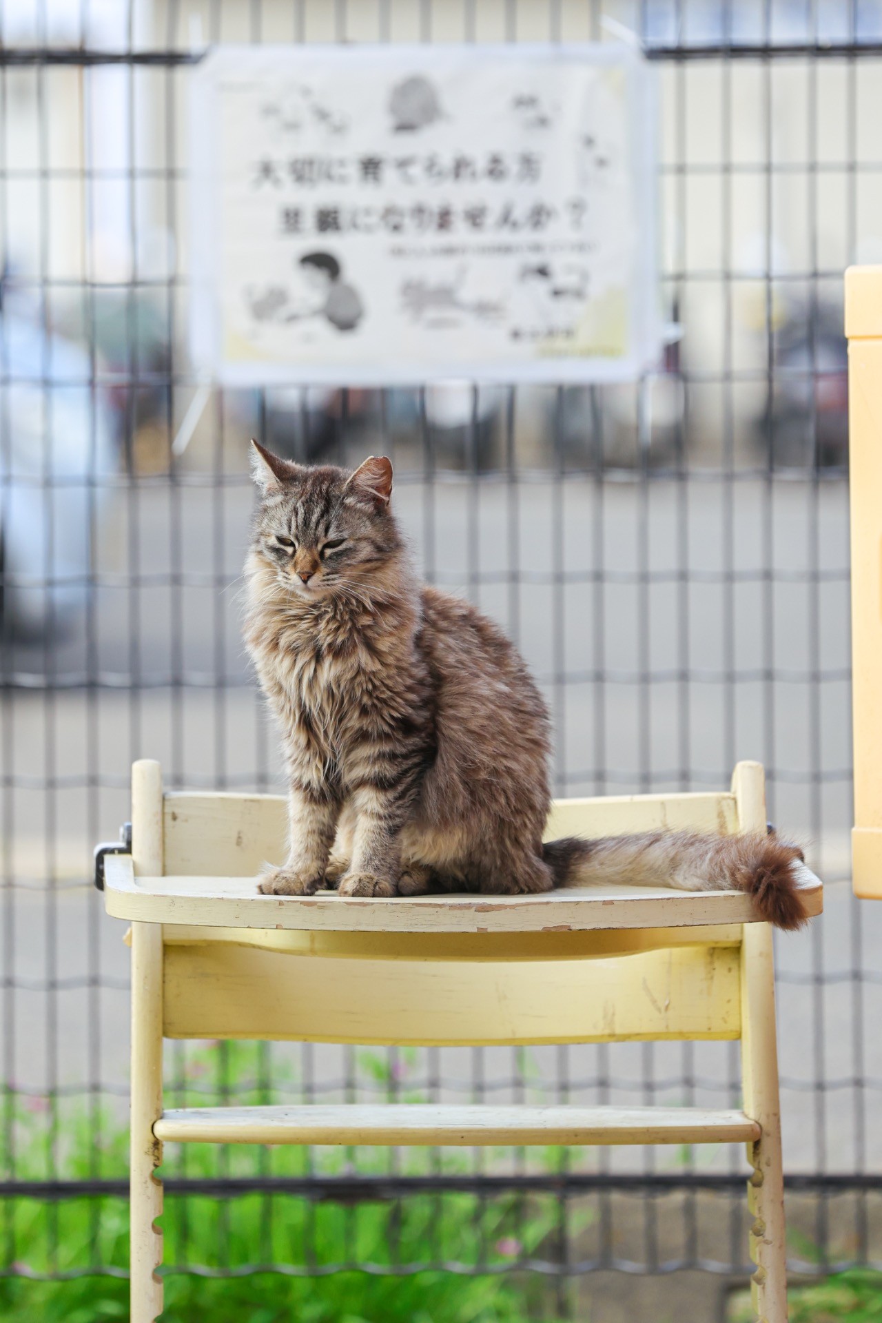 愛される未来へ