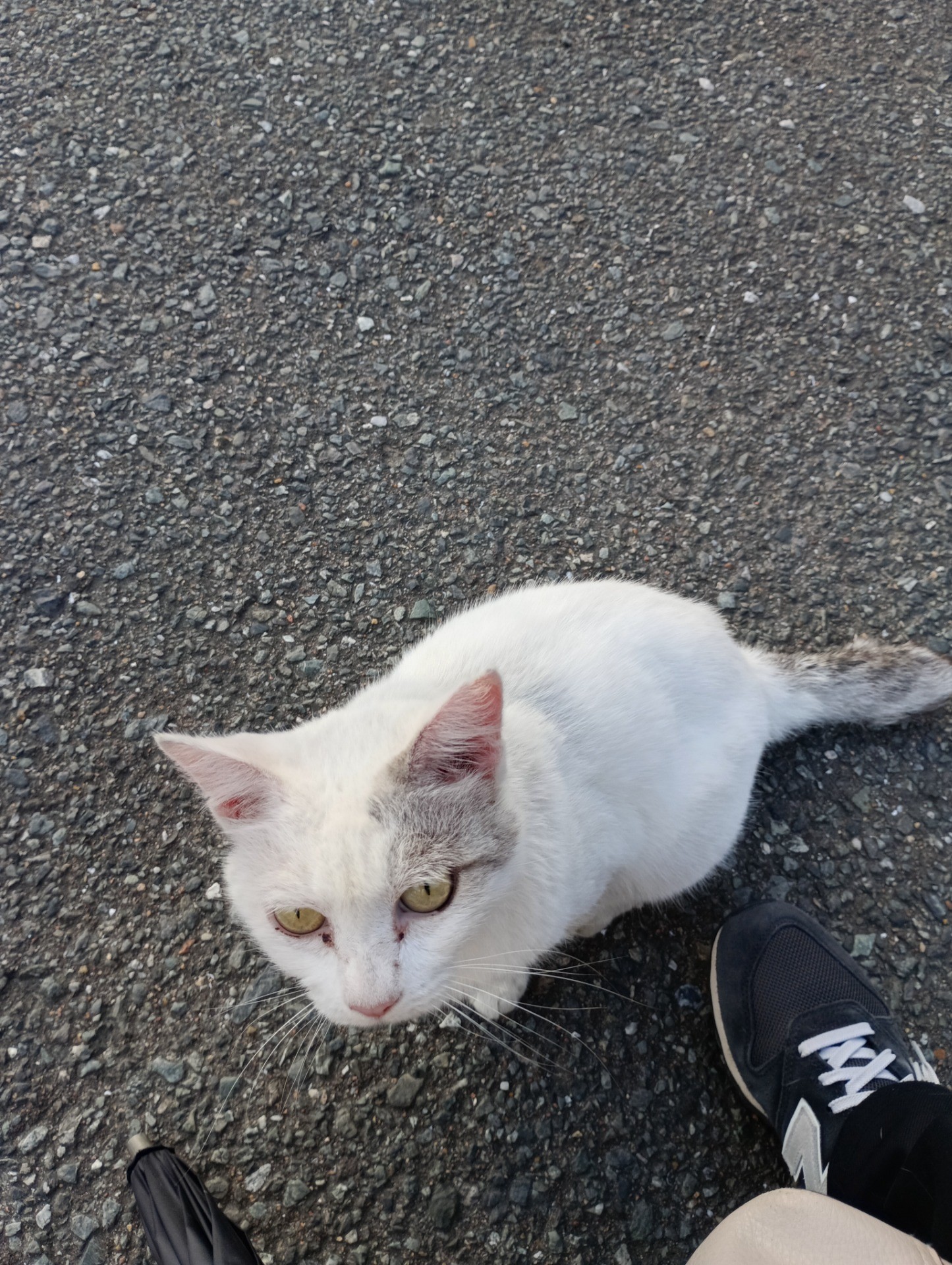 近づきすぎ