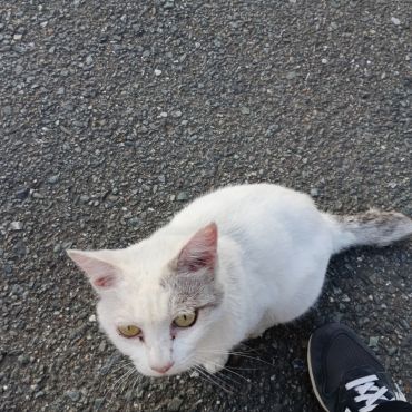 近づきすぎ