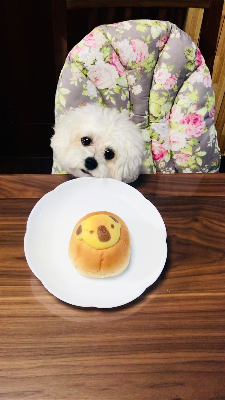 食べたいなぁ😋