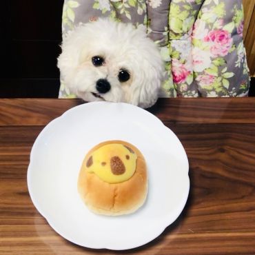 食べたいなぁ😋