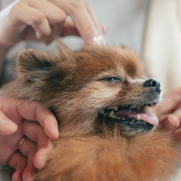 愛を知る