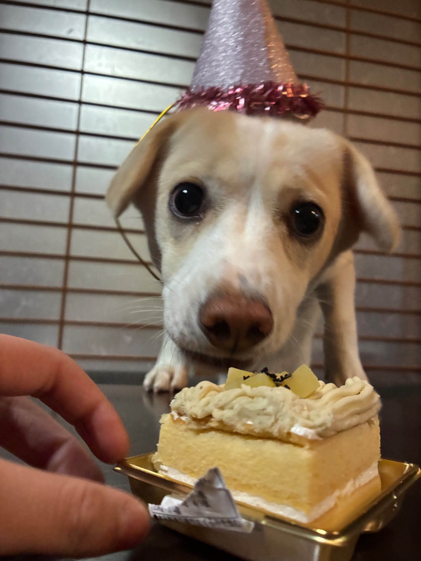 生まれてきてくれて ありがとう❣️