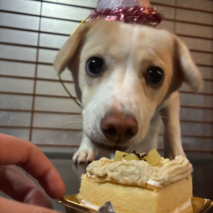 生まれてきてくれて ありがとう❣️