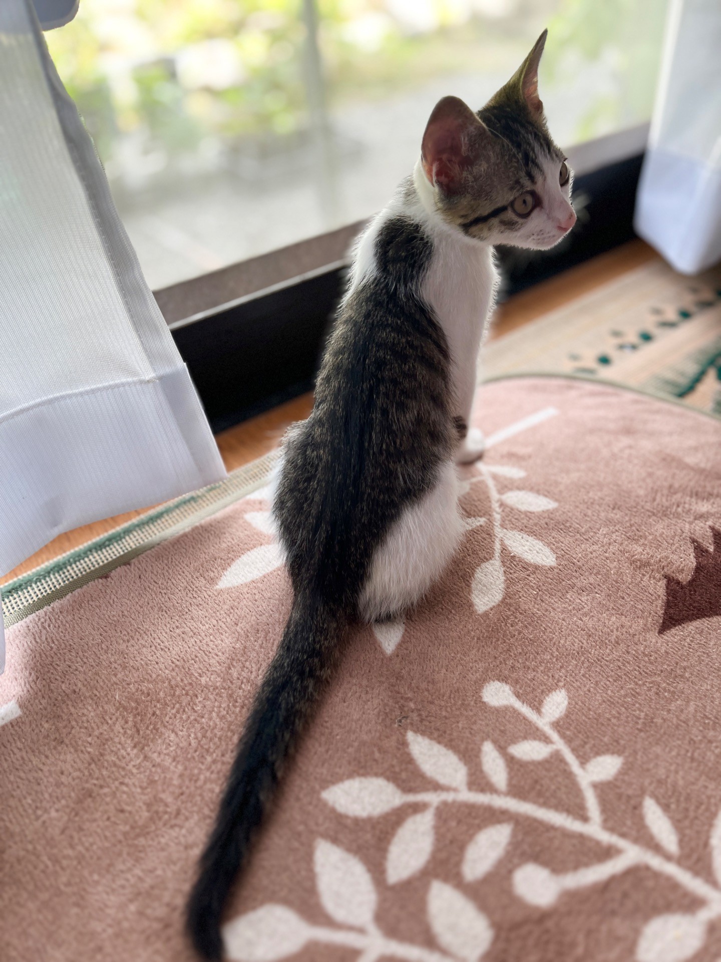 おかえり！