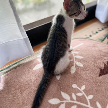 おかえり！