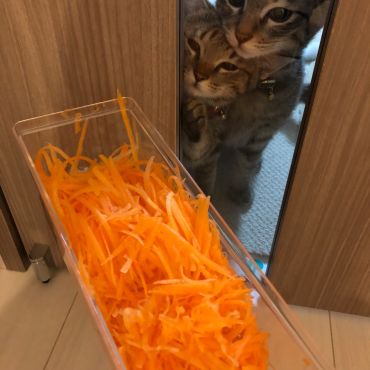 お外では見たことのない輝き
