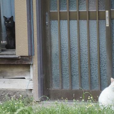 同じ家、違う景色