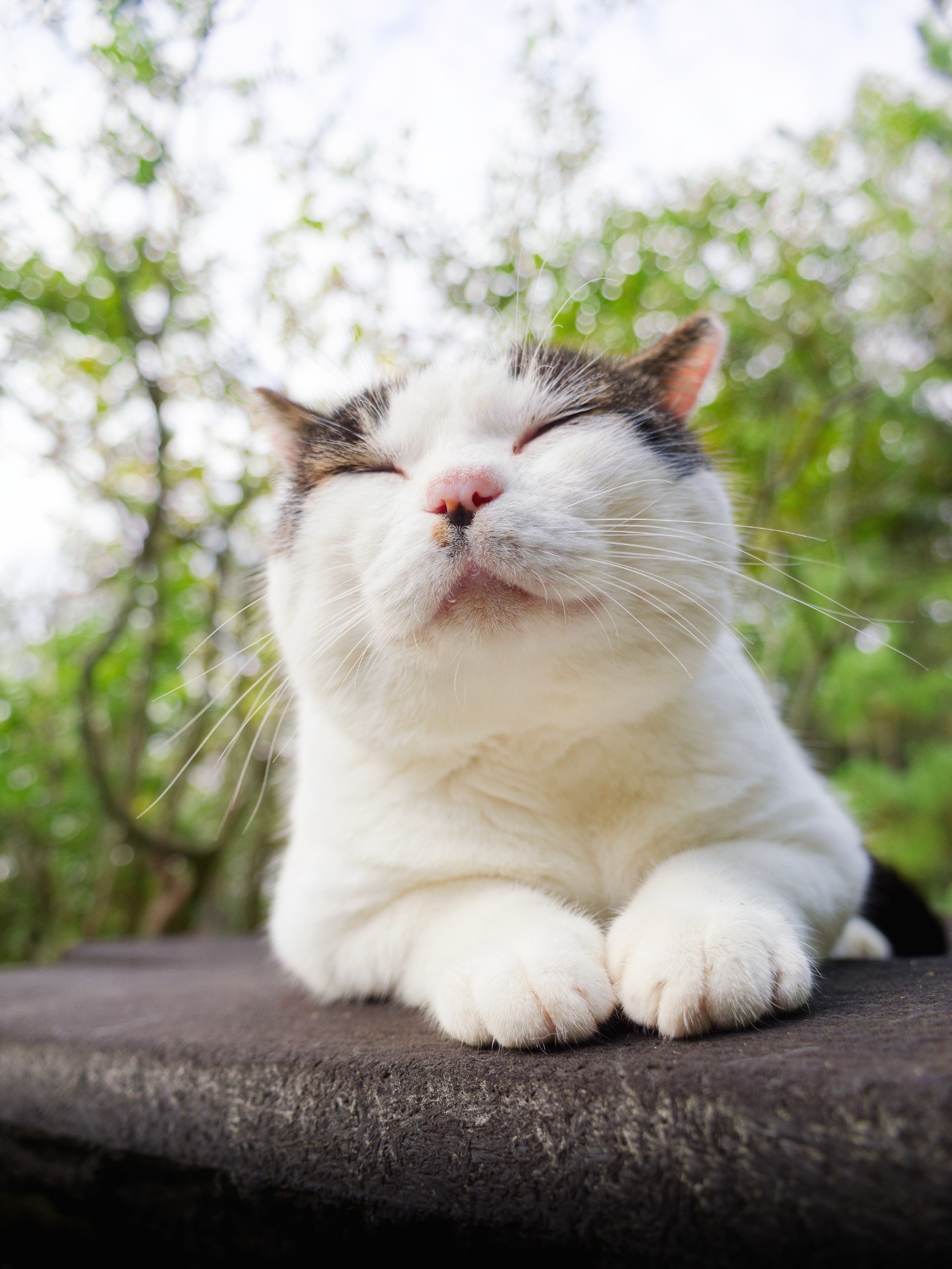 やすらぎ