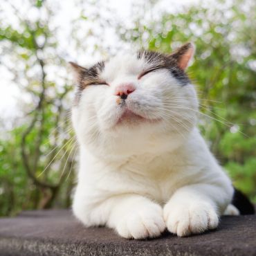 やすらぎ