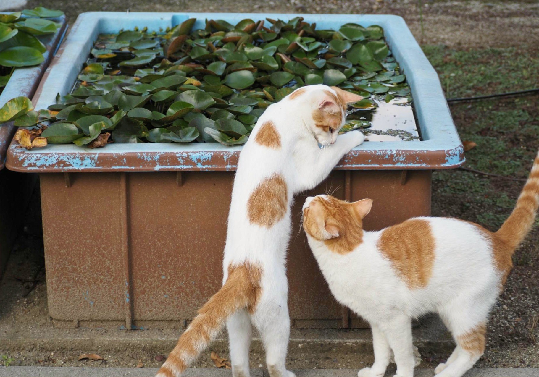 気になるね