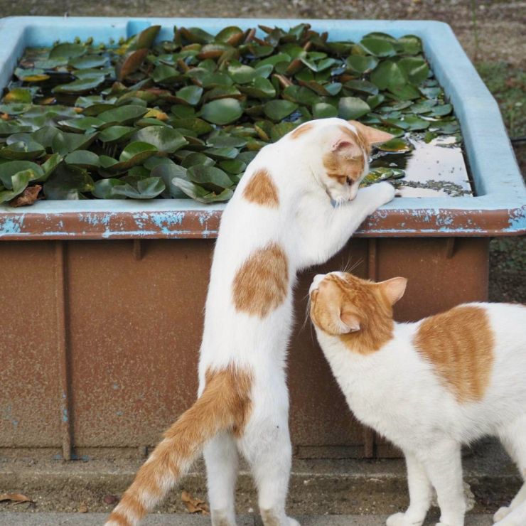 気になるね