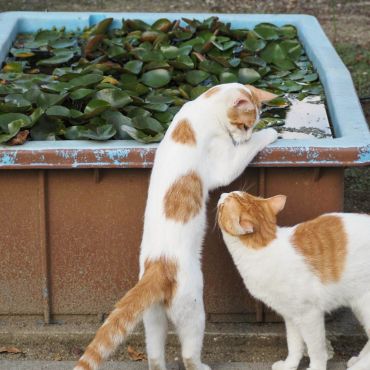 気になるね