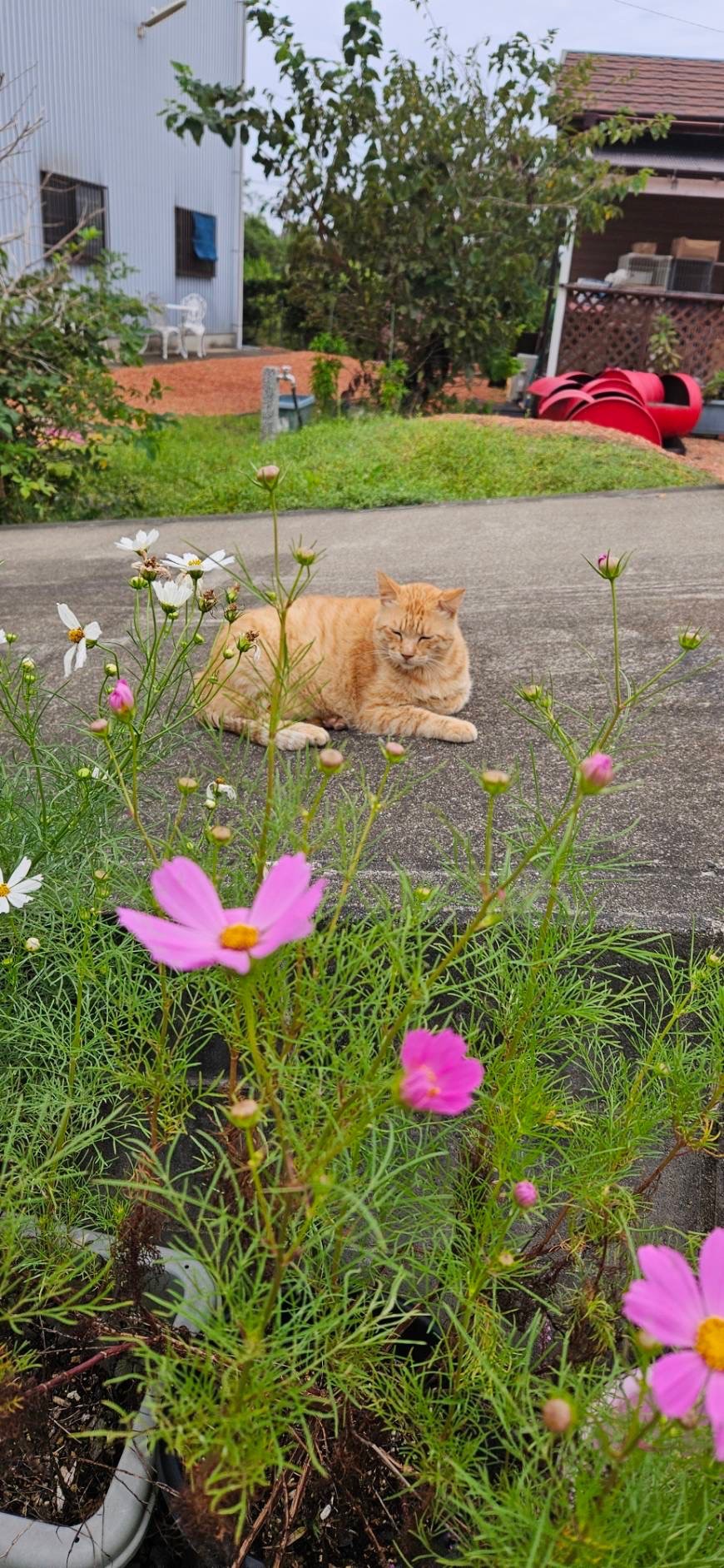 いつも時間にいつものところで