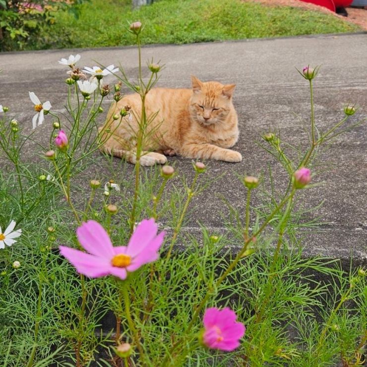 いつも時間にいつものところで