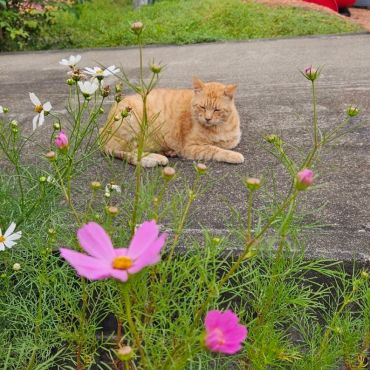 いつも時間にいつものところで