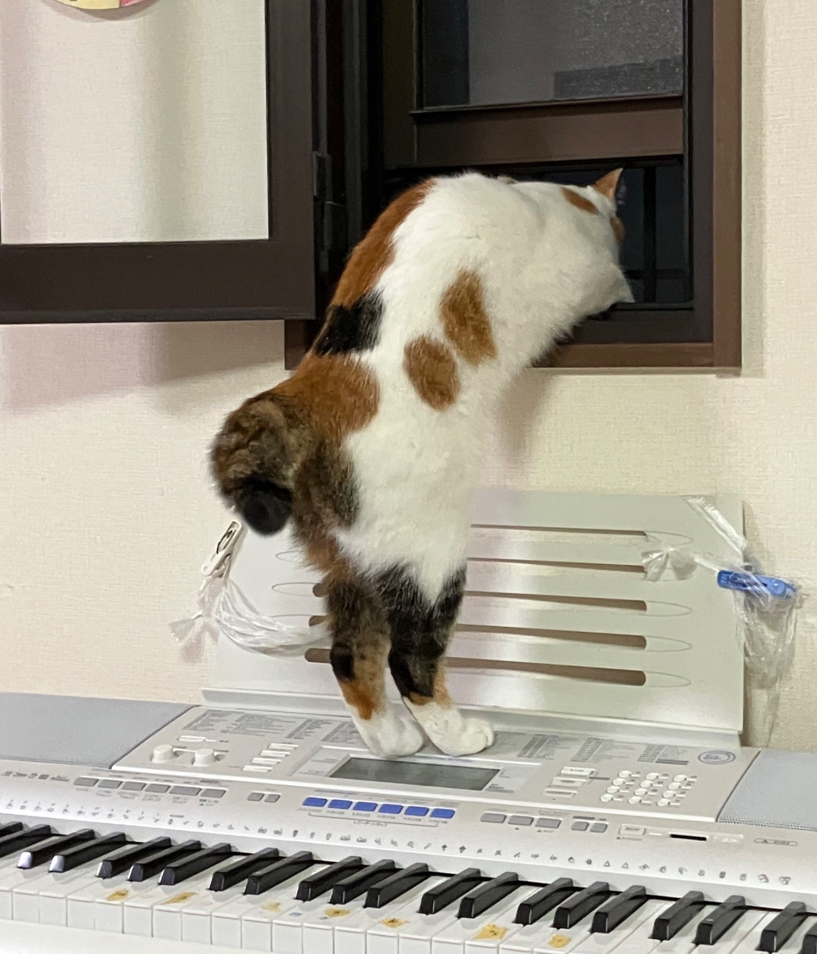 風気持ちー
