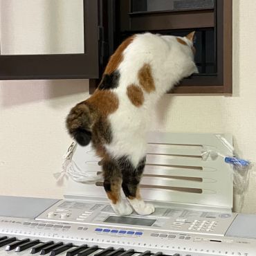 風気持ちー