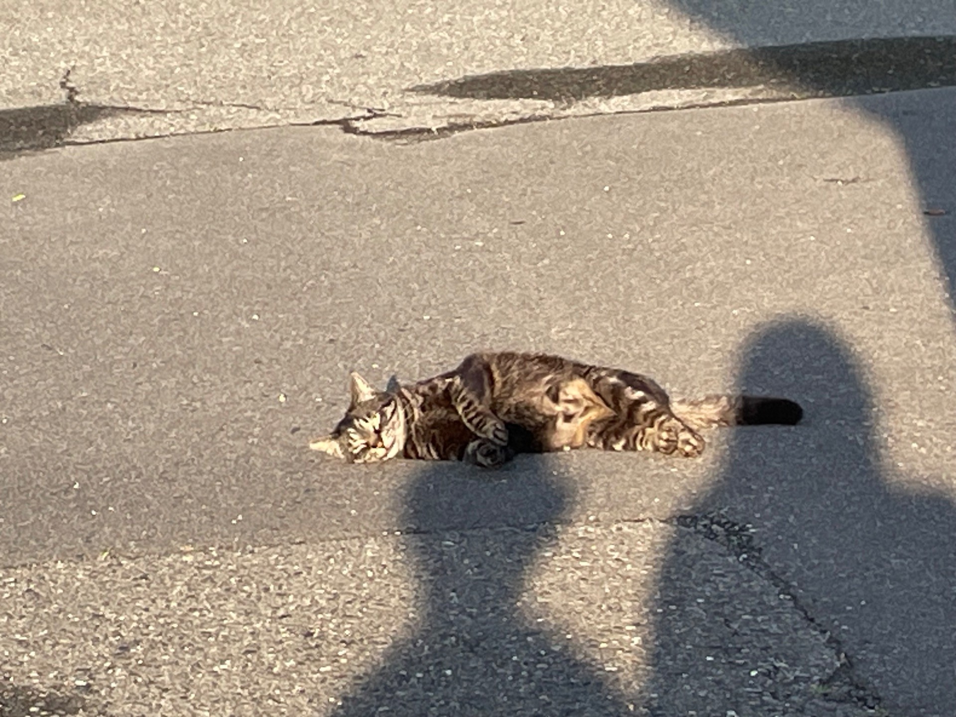くったり、のんびり