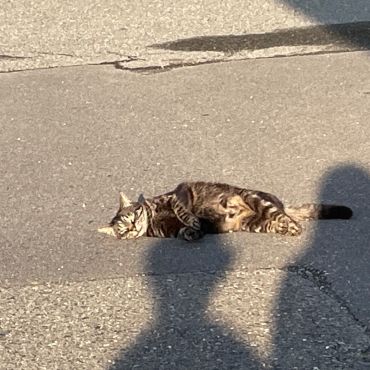 くったり、のんびり