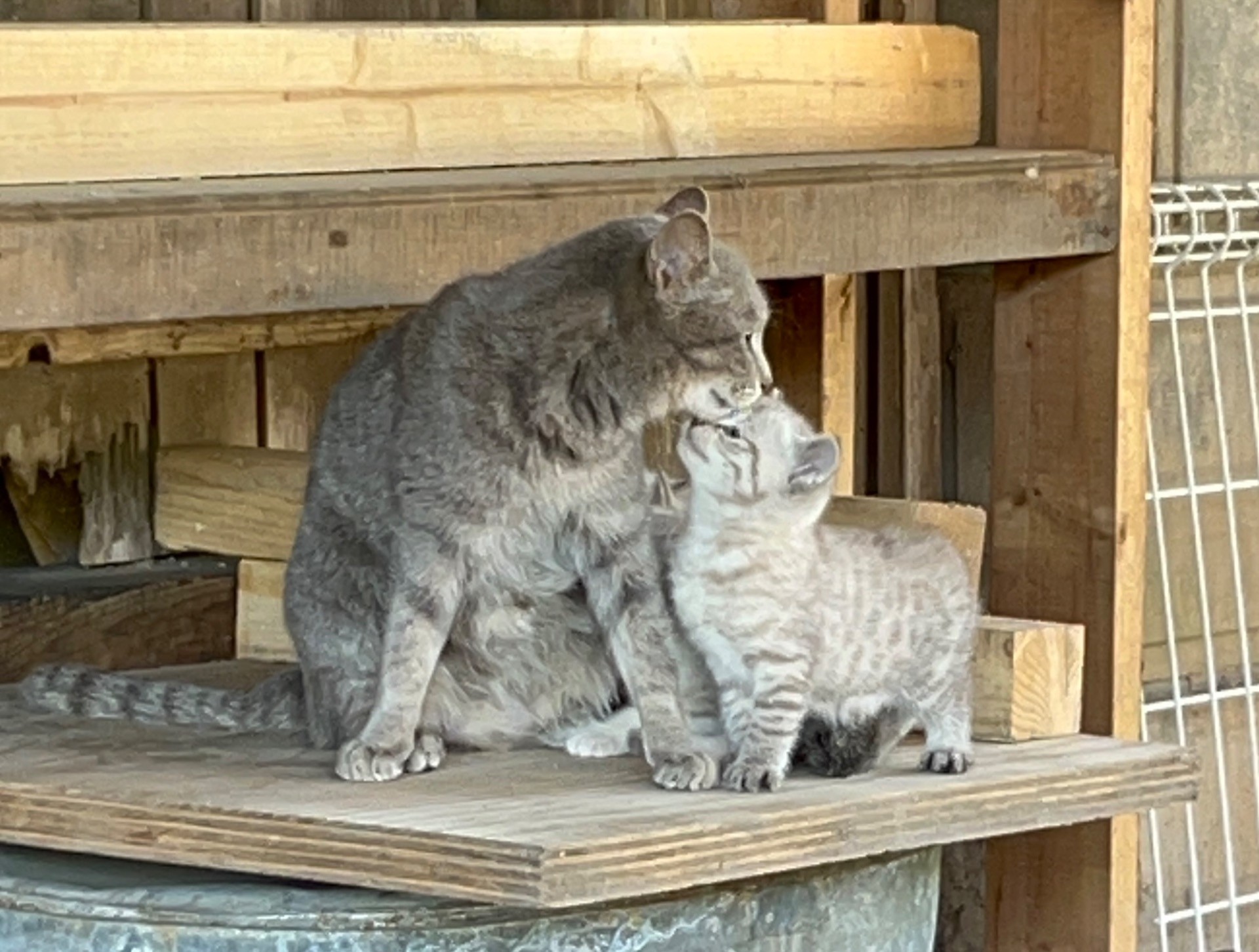 初めましてようこそ我が家へ