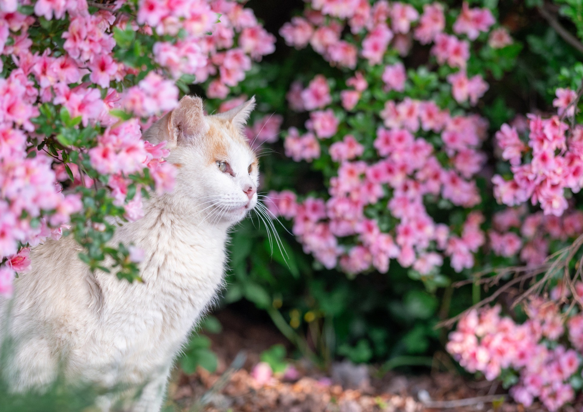 今年も、この場所で