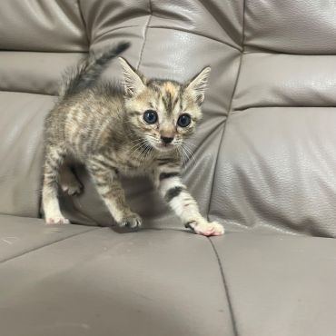 元気になったマコ