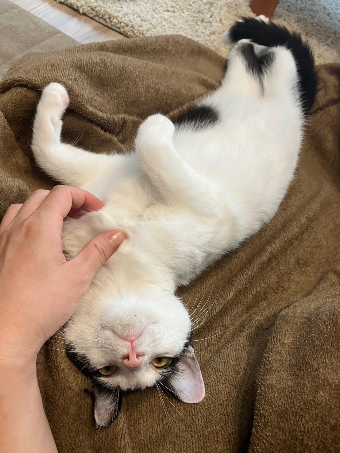幸せになれて良かったね