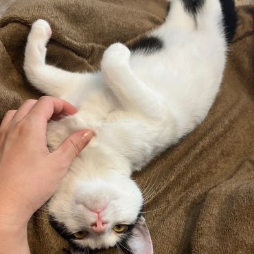 幸せになれて良かったね