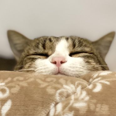 "あざとい"を知ってるの！？