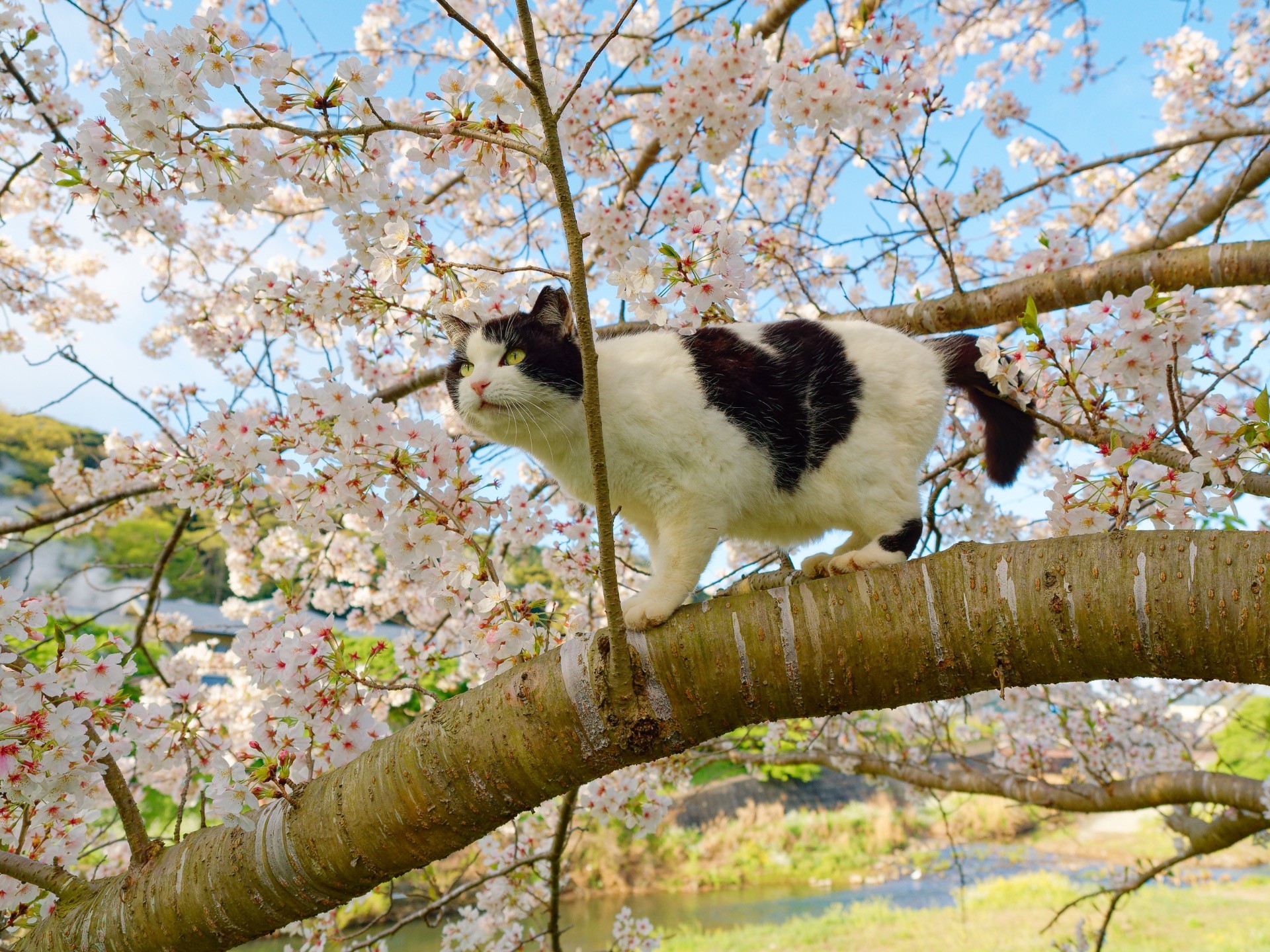 見晴らし良好