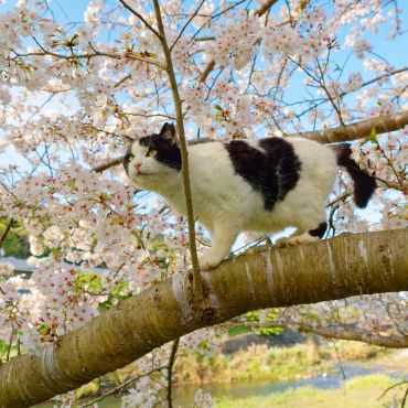 見晴らし良好