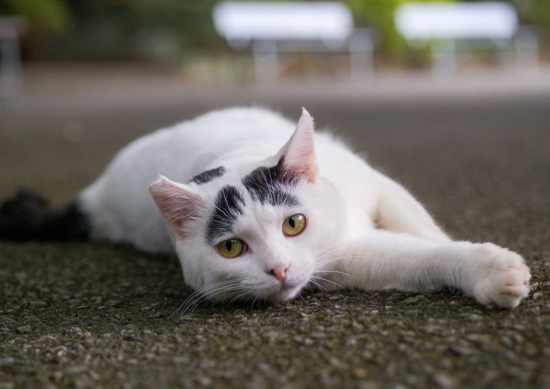 しあわせな時間